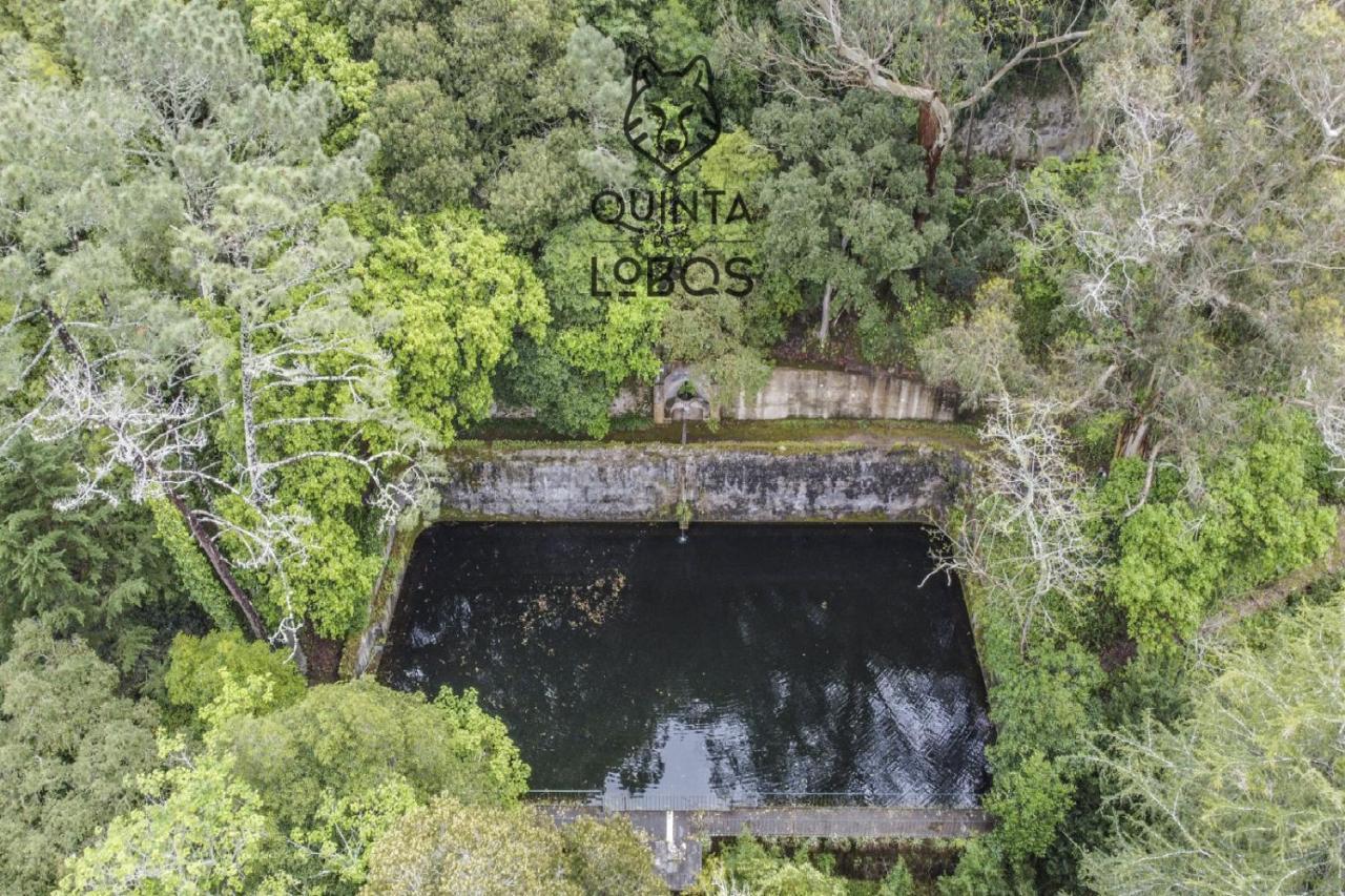 Quinta Dos Lobos Boutique Hotel - Nature Experience Sintra Exterior foto