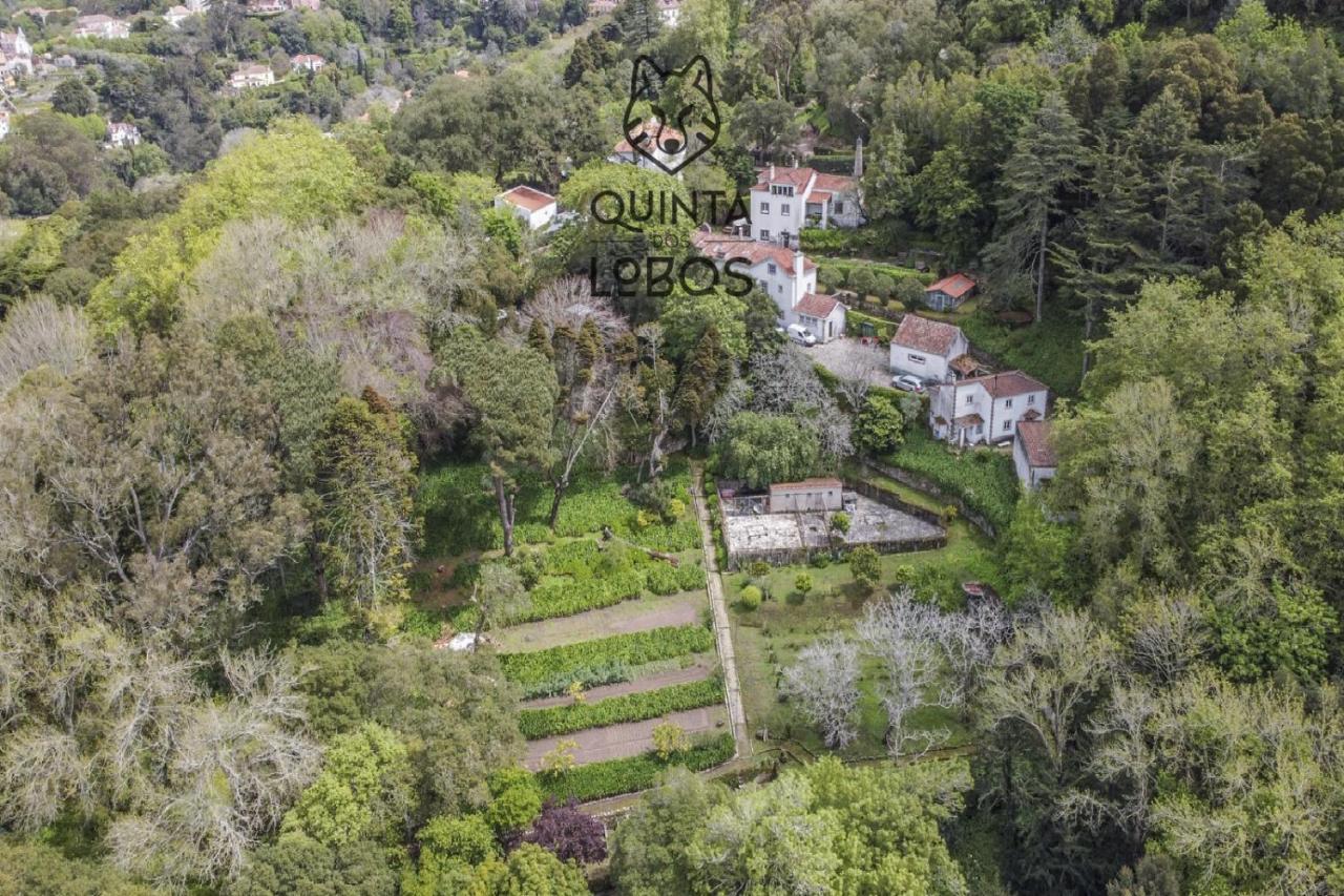 Quinta Dos Lobos Boutique Hotel - Nature Experience Sintra Exterior foto